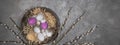 HAPPY EASTER holiday celebration backgroud banner - Easter nests with pink and white easter quail eggs and catkins on concrete Royalty Free Stock Photo