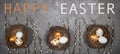 HAPPY EASTER holiday celebration backgroud greeting card with text - Easter nests with gold painted easter eggs and catkins on Royalty Free Stock Photo