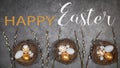 HAPPY EASTER holiday celebration backgroud greeting card with text - Easter nests with gold painted easter eggs and catkins on Royalty Free Stock Photo