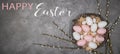 HAPPY EASTER holiday celebration backgroud greeting card with text - Easter nests with pink and white easter quail eggs and Royalty Free Stock Photo
