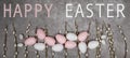 HAPPY EASTER holiday celebration backgroud with text - Pink and white easter quail eggs and catkins on concrete table texture, top Royalty Free Stock Photo