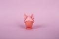 Happy Easter holiday concept dyed chicken coral pink egg in a bunny origami hat