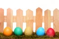 Painted easter colorful eggs on wooden fence with green moss Royalty Free Stock Photo