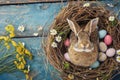 Happy easter hop processing Eggs Rebirth Revelry Basket. White rose bloom Bunny plush cushion. pollinators background wallpaper