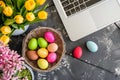 Happy easter image Eggs Easter Bunny and Easter egg hunts Basket. White farce Bunny mixed bouquet. snuggly background wallpaper Royalty Free Stock Photo