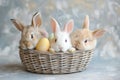 Happy easter Indigo blue Eggs Rebirth Basket. White easter bunny figurines Bunny marigolds. Laughing background wallpaper Royalty Free Stock Photo