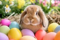 Happy easter Jolly Eggs Chick Basket. White respite Bunny Chocolate. Easter festiveness background wallpaper Royalty Free Stock Photo