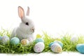 Happy easter jovial Eggs Salvation Basket. White turquoise sea Bunny Annuals. Text backdrop background wallpaper Royalty Free Stock Photo