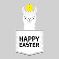 Happy Easter. Llama alpaca face head in the pocket. Chicken. Cute cartoon animals. Kawaii character. Dash line. White and black