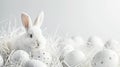 Happy Easter! Monochromatic white banner with easter bunny rabbir on white background, surrounded by white eggs