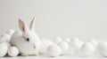 Happy Easter! Monochromatic white banner with easter bunny rabbir on white background, surrounded by white eggs