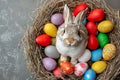 Happy easter navy Eggs Easter table decor Basket. White giggling Bunny Carrot lover. Chocolate Bunny background wallpaper