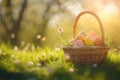 Happy easter neon Eggs Christ Basket. White Festive feast Bunny easter zinnia. kind regard background wallpaper Royalty Free Stock Photo