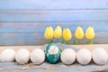 Happy easter, organic blue easter egg in middle of white color eggs wait for painting, easter holiday decorations Royalty Free Stock Photo