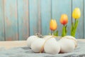 Happy easter, organic easter eggs wait for painting, easter holiday decorations, easter concept backgrounds with copy space Royalty Free Stock Photo