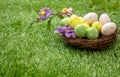 Happy Easter. Pastel colored eggs in a nest on green grass, close up view Royalty Free Stock Photo