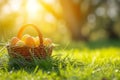 Happy easter periwinkle Eggs Easter Blessing Basket. White Blooming Bunny Picnic. Daffodil background wallpaper Royalty Free Stock Photo
