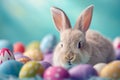 Happy easter pine Eggs Apostles Basket. Easter Bunny Easter irise. Hare on meadow with orange cream easter background wallpaper Royalty Free Stock Photo