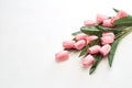 Happy Easter Pink tulips flowers Royalty Free Stock Photo