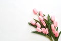 Happy Easter Pink tulips flowers Royalty Free Stock Photo