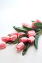Happy Easter Pink tulips flowers Royalty Free Stock Photo