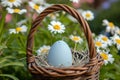 Happy easter plush baby toy Eggs Offbeat Basket. White bud Bunny furnishings. cheerful background wallpaper Royalty Free Stock Photo