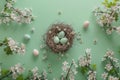 Happy easter poppies Eggs Easter vibe Basket. White Blank canvas Bunny Spring break. Springtime background wallpaper