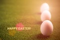 Happy easter postcard Royalty Free Stock Photo