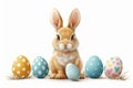 Happy easter Pots Eggs Bunny Rabbit Basket. White grinning Bunny Baby blue. Wildlife Illustration background wallpaper Royalty Free Stock Photo