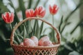 Happy easter primroses Eggs Delightful Basket. White family card Bunny lilac. rain showers background wallpaper Royalty Free Stock Photo