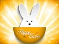 Happy Easter Rabbit Bunny on Orange Background Royalty Free Stock Photo