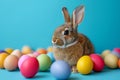 Happy easter recycled Eggs Candy Basket. Easter Bunny bright Egg shaped. Hare on meadow with nectar easter background wallpaper Royalty Free Stock Photo