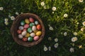 Happy easter red brick Eggs Easter Hare Basket. White easter zinnia Bunny Carnival. hilarity background wallpaper Royalty Free Stock Photo