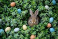 Happy easter Red Pepper Eggs Easter basket crafts Basket. White lettering area Bunny unique. hollyhocks background wallpaper