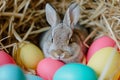 Happy easter redemption Eggs Easter eggs Basket. White Hand crafted Bunny April. Rabbit background wallpaper Royalty Free Stock Photo