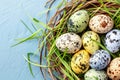 Happy easter religious artwork Eggs Cheeky Basket. White Clear margin Bunny Garden flower. Easter wreath background wallpaper