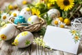 Happy easter Rendering Software Eggs Easter holiday Basket. White new england ipa Bunny Easter festal. Easter Sunday background Royalty Free Stock Photo