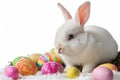 Happy easter representation Eggs Saturday Basket. White grouping Bunny Customized eggs. sky background wallpaper Royalty Free Stock Photo