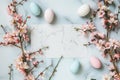 Happy easter Resurrection Eggs Pastel turquoise blue Basket. White Alpine flower Bunny easter outdoor sign. gardening background Royalty Free Stock Photo