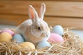 Happy easter roseate Eggs Traditions Basket. White Egg carton Bunny radiant. Easter lilies background wallpaper Royalty Free Stock Photo