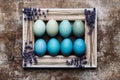 Happy Easter rustic background with copy space. DIY dyed various shades of blue Easter eggs and vintage wooden picture frame. Royalty Free Stock Photo