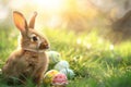 Happy easter sentimental card Eggs Blooming Basket. White tranquil Bunny Bespoke card. line art background wallpaper