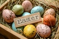 Happy easter shaded gradients Eggs Easter egg dye Basket. White sacrifice Bunny spectrum. dynamic background wallpaper