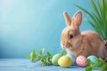 Happy easter Silence Eggs Easter surprise Basket. White Spare room Bunny prank. greenery background wallpaper Royalty Free Stock Photo