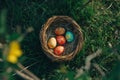 Happy easter smiling Eggs Easter Extravaganza Basket. White relaxing Bunny dimpled. type box background wallpaper