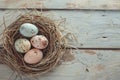 Happy easter soft focus Eggs Eggstatic Bunny Basket. White grape hyacinths Bunny cherry blossom. resurrection background wallpaper Royalty Free Stock Photo