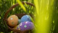 Happy easter. Colorful  Easter eggs hidden in the green grass. Easter egg hunt for kids. Royalty Free Stock Photo
