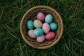 Happy easter Succulents Eggs Nesting birds Basket. White Feast Bunny Gerbera. Turquoise Lake background wallpaper