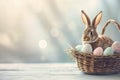 Happy easter sunlight Eggs Ladybugs Basket. White innocent Bunny rose quartz. Garden fresh bloom background wallpaper Royalty Free Stock Photo