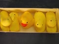 Imposter peep. Rubber ducky